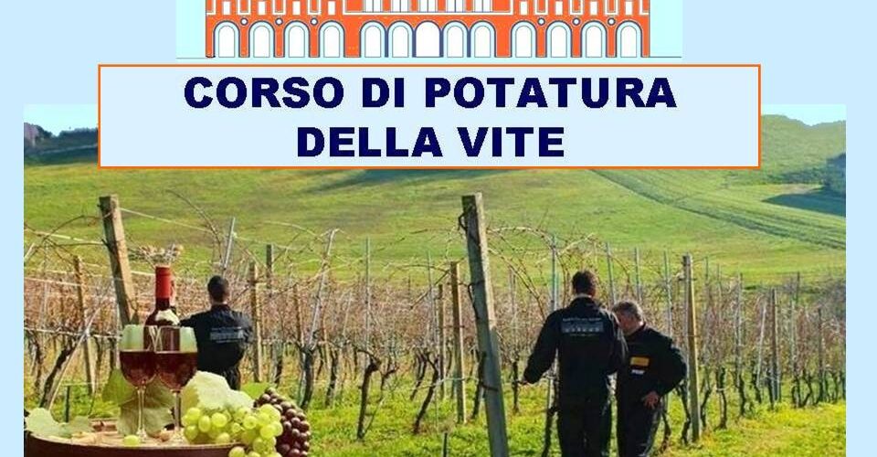 foto Corso potatura vite